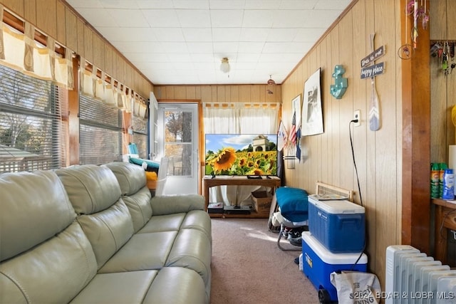 sunroom with radiator and plenty of natural light