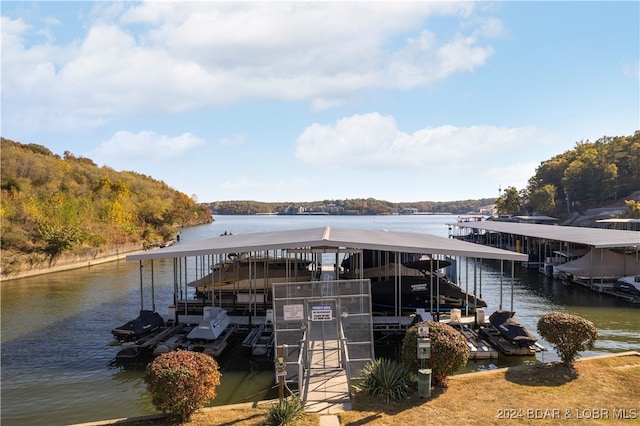 dock area with a water view