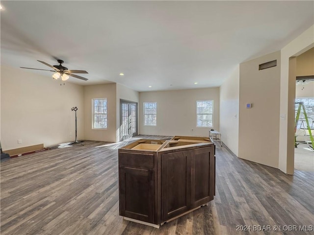 kitchen featuring open floor plan, wood finished floors, and a healthy amount of sunlight