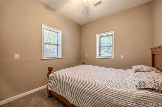 bedroom with ceiling fan, carpet floors, a textured ceiling, and multiple windows