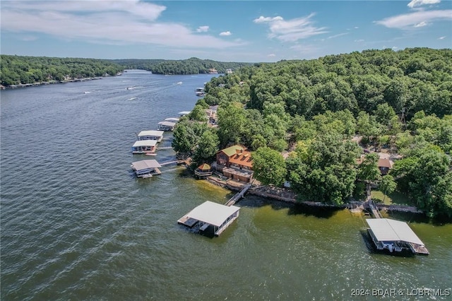 birds eye view of property featuring a water view and a wooded view