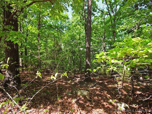 Listing photo 2 for TBD Woods Dr, Stover MO 65078