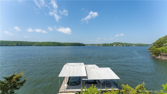 dock area with a water view