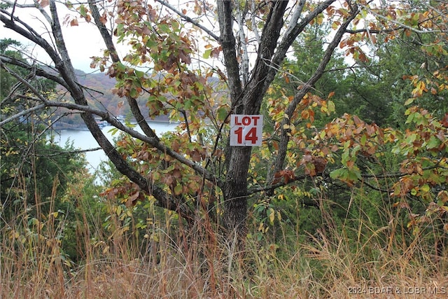 Listing photo 2 for LOT14 Lake Horizons Rd, Gravois Mills MO 65037