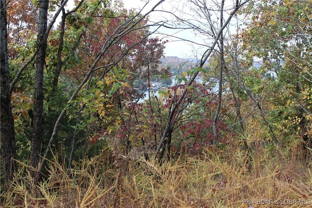 Listing photo 3 for LOT14 Lake Horizons Rd, Gravois Mills MO 65037