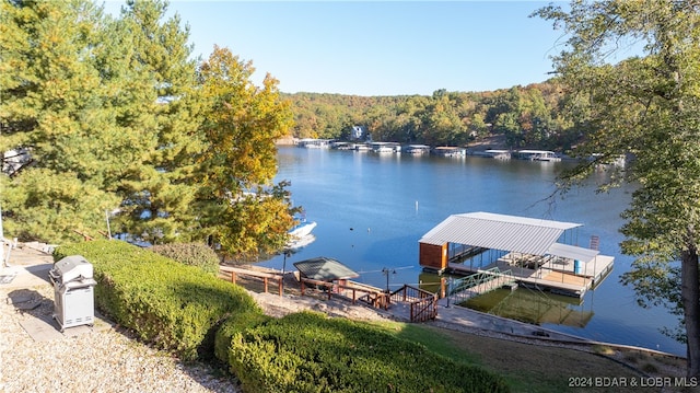 dock area with a water view