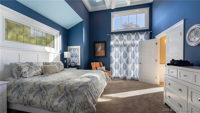 bedroom with a high ceiling and dark carpet