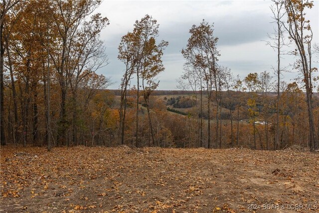 Rising Mist Dr Unit 1-2 4-10, Waynesville, MO 65583