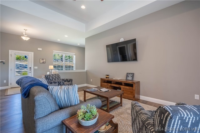 living room featuring hardwood / wood-style flooring