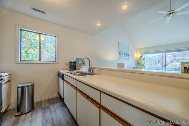 kitchen featuring lofted ceiling, wood-type flooring, sink, white cabinets, and ceiling fan