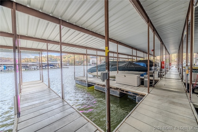 dock area with a water view