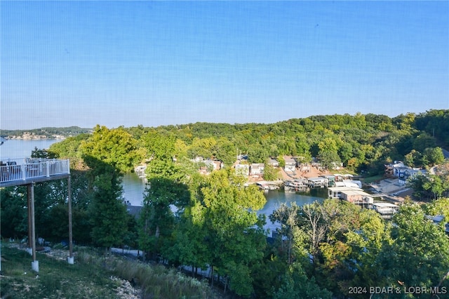 birds eye view of property featuring a water view and a forest view