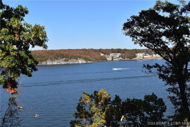 property view of water