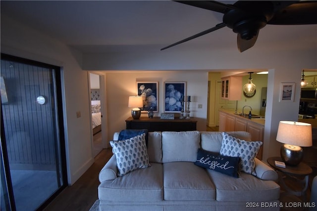 living room featuring dark hardwood / wood-style floors and sink