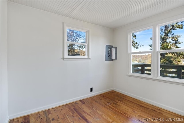 empty room with wood-type flooring and plenty of natural light