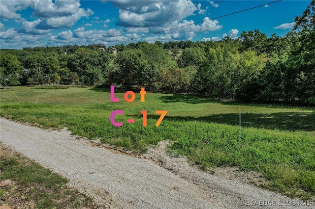 LOTC-17 Gladstone Cove Rd, Gravois Mills, MO 65037 - photo 5
