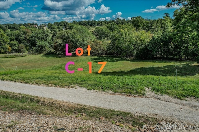 LOTC-17 Gladstone Cove Rd, Gravois Mills, MO 65037 - photo 6