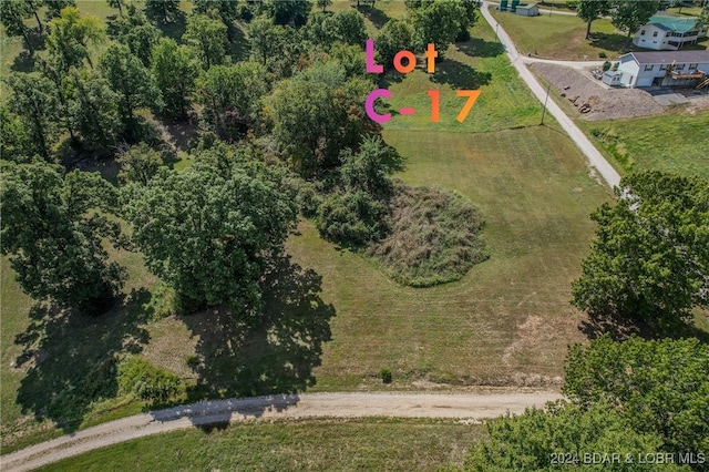LOTC-17 Gladstone Cove Rd, Gravois Mills, MO 65037 - photo 10