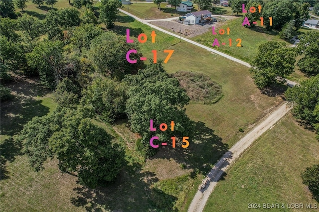 LOTC-17 Gladstone Cove Rd, Gravois Mills, MO 65037 - photo 11