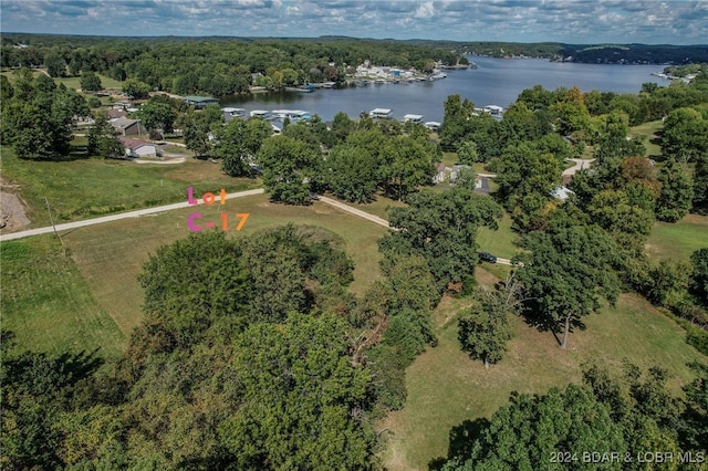 LOTC-17 Gladstone Cove Rd, Gravois Mills, MO 65037 - photo 13