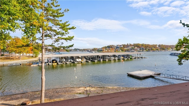 dock area with a water view