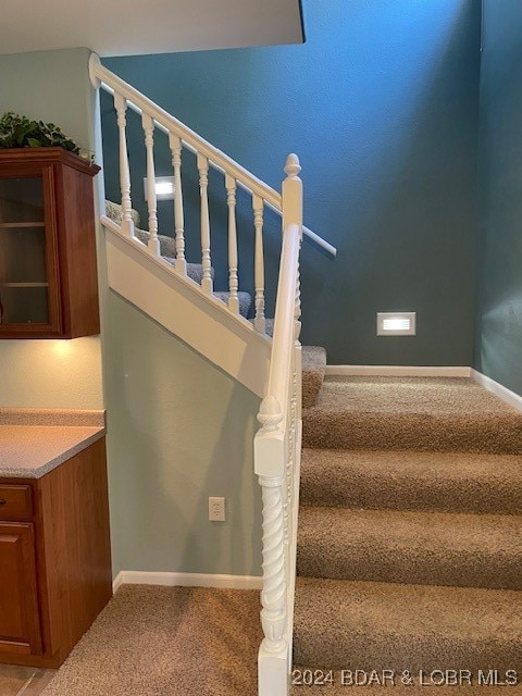 stairs featuring carpet floors