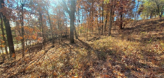 Listing photo 3 for Mockingbird Rd, Lake Ozark MO 65049