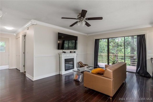 24950 State Rd A Rd, Richland, MO 65556 - living area featuring a glass covered fireplace, ornamental molding, ceiling fan, and wood finished floors