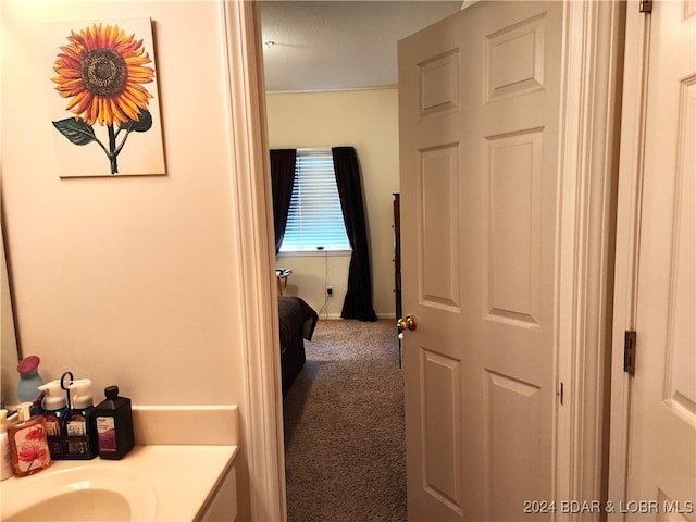 bathroom featuring vanity