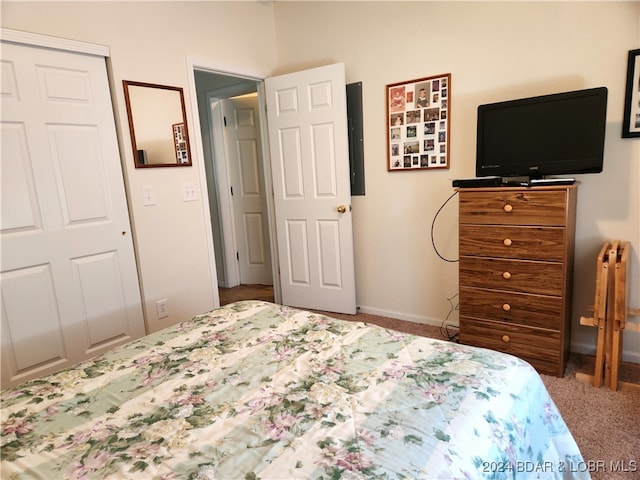 carpeted bedroom with a closet