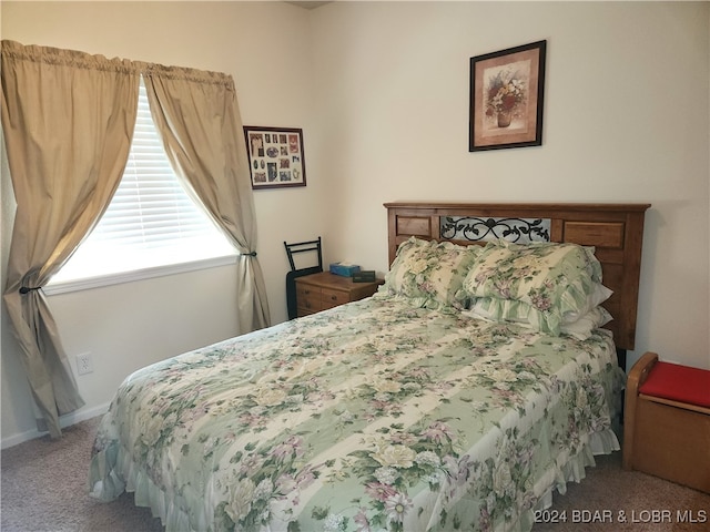 view of carpeted bedroom