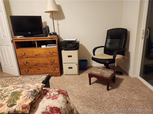 view of carpeted bedroom