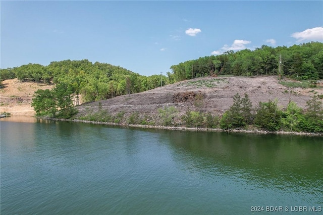 LOT13 Greenview Dr, Camdenton, MO 65020