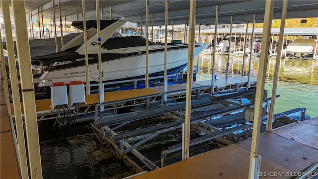 dock area with a water view