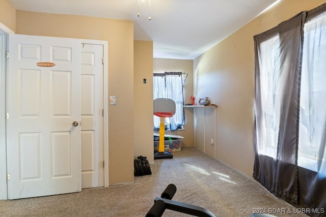 workout area featuring carpet