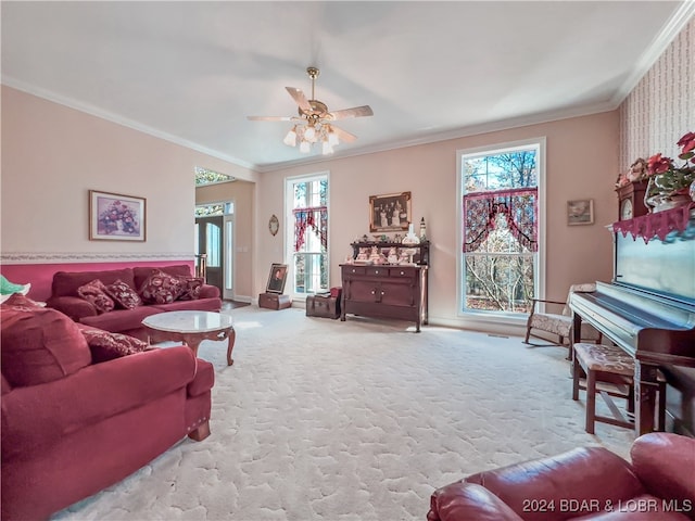 carpeted living room with ceiling fan and crown molding