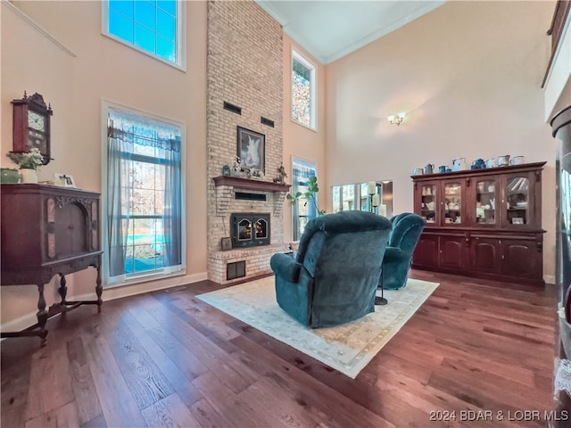 living room featuring dark wood-type flooring, a high ceiling, and ornamental molding