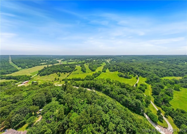 293 Windsong, Camdenton, MO 65020 - bird's eye view of a forest