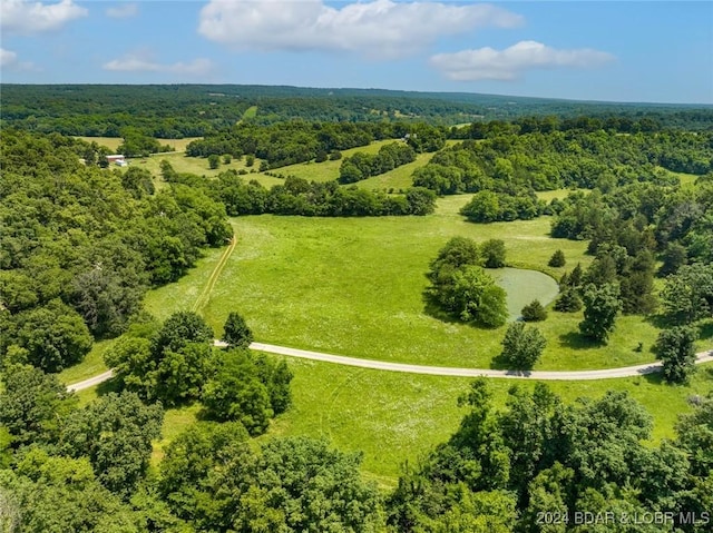 293 Windsong, Camdenton, MO 65020 - drone / aerial view of a forest