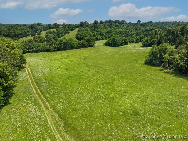 293 Windsong, Camdenton, MO 65020 - aerial view