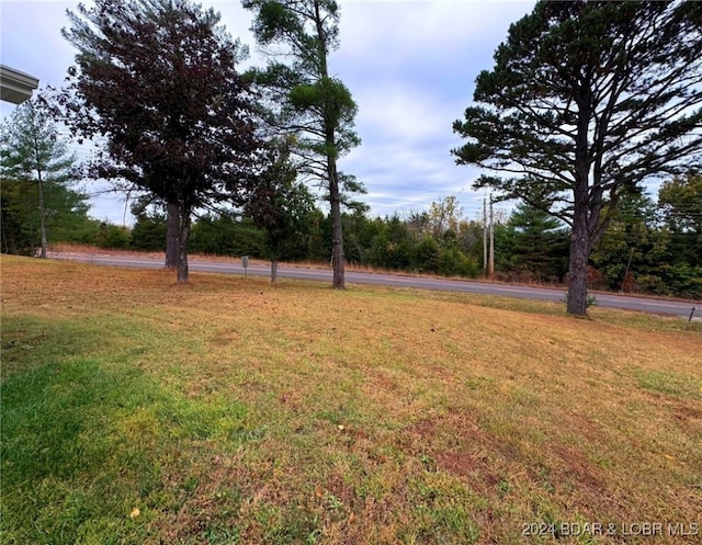 view of yard