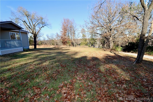 view of yard