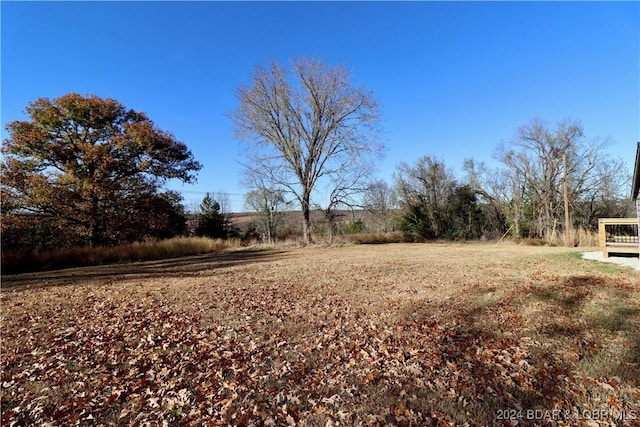 261 Buffalo Linn Creek Rd, Macks Creek, MO 65786 - view of yard