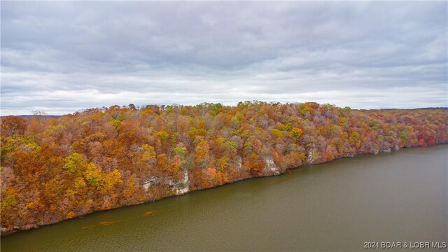 Emerald Hills Dr, Edwards, MO 65326