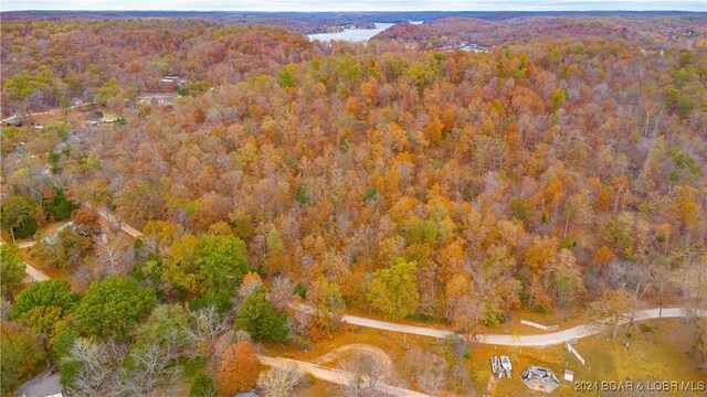 Emerald Hills Dr, Edwards, MO 65326