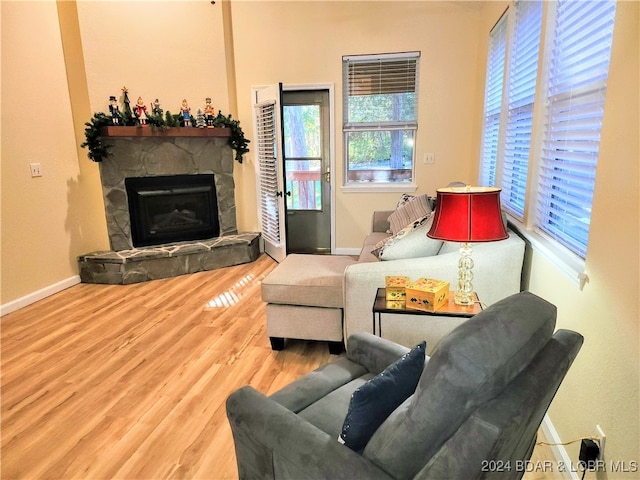 living room featuring a fireplace and wood-type flooring