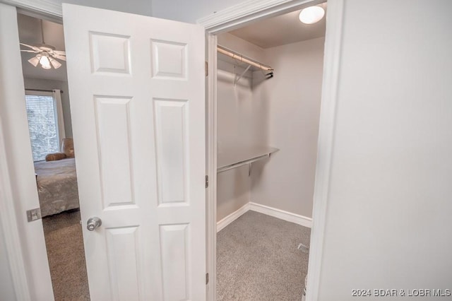 walk in closet with ceiling fan and carpet floors