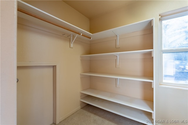 view of spacious closet