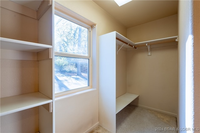 walk in closet featuring light carpet