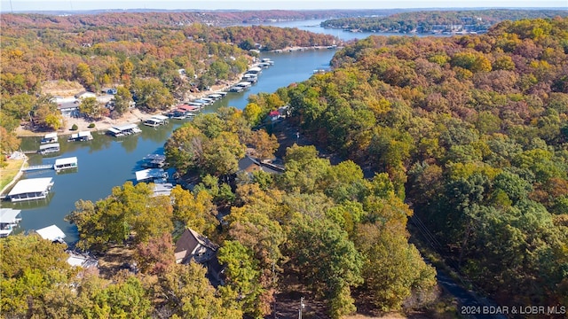 bird's eye view featuring a water view